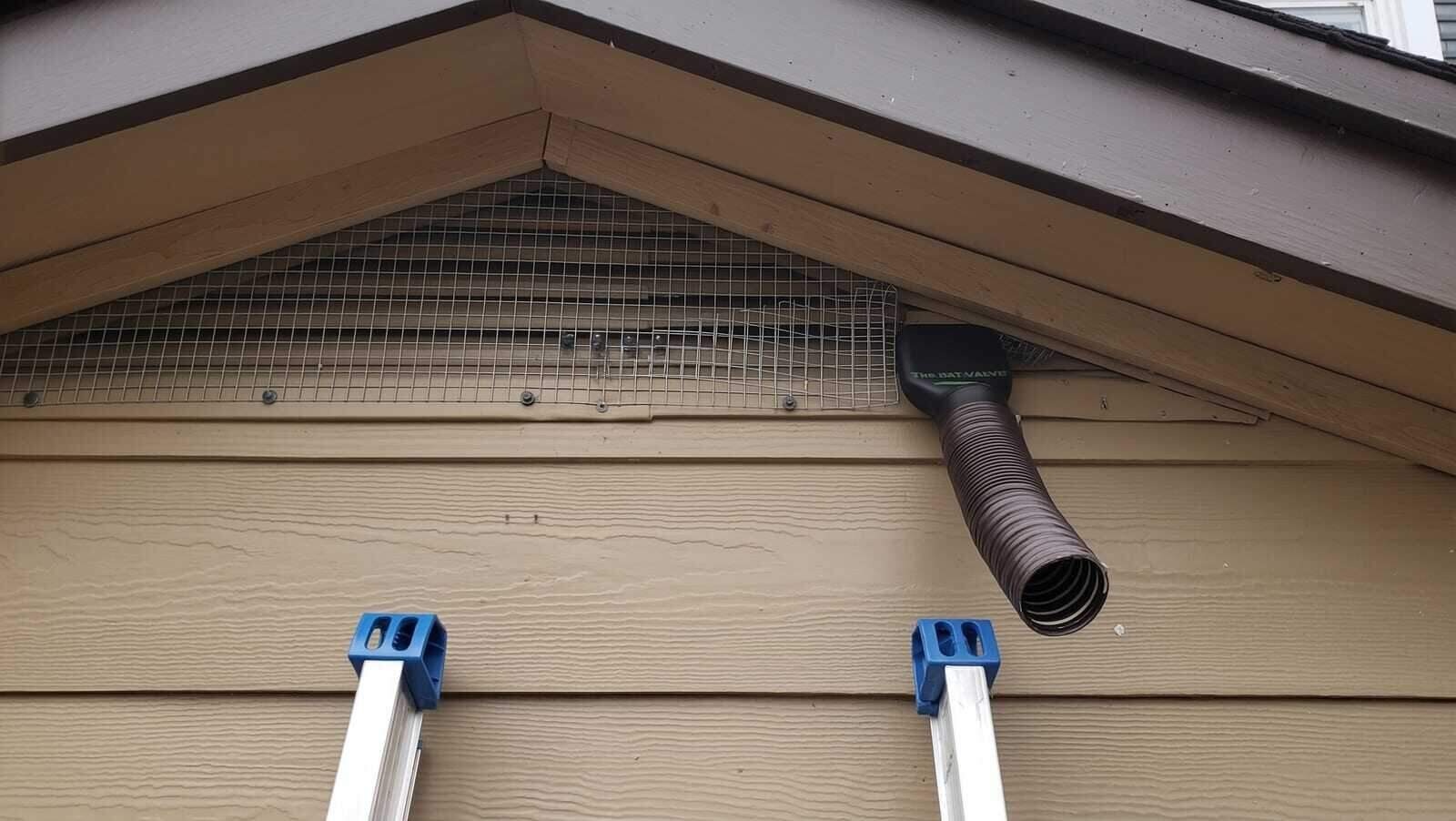 Bat Exterminator in Dallas–Fort Worth
