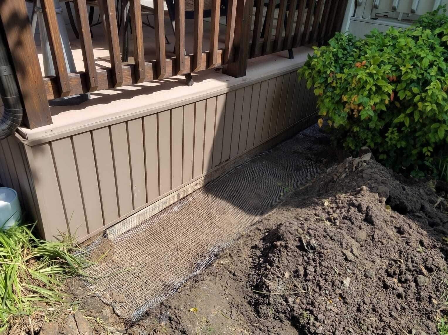 Skunk Pest Removal in Dallas–Fort Worth