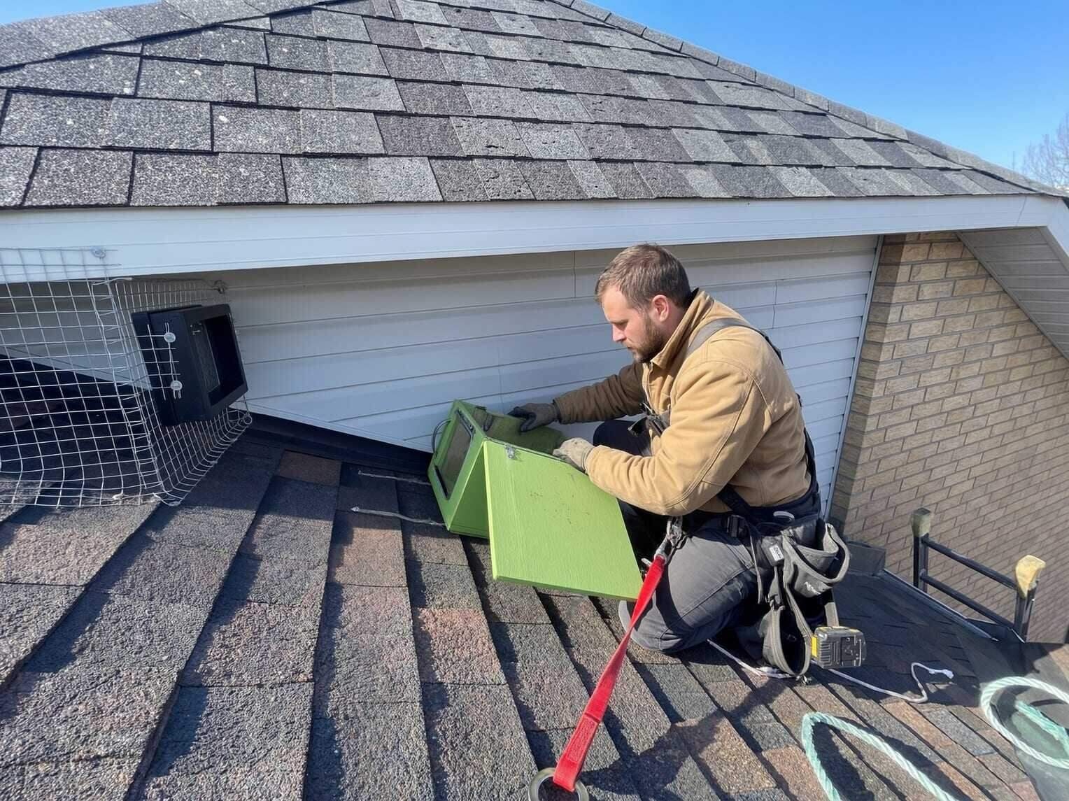 Wildlife Control in Dallas–Fort Worth